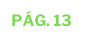 pág 13